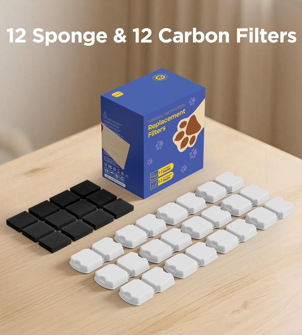 HOOISE cat hydration setup emphasizing fresh water for pets