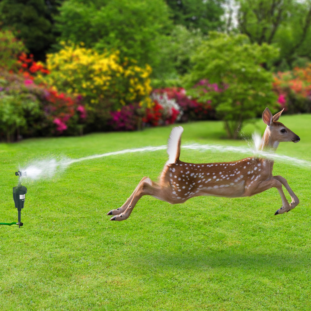 Hoont Cobra Humane Deterrent safe for people and pets outdoors