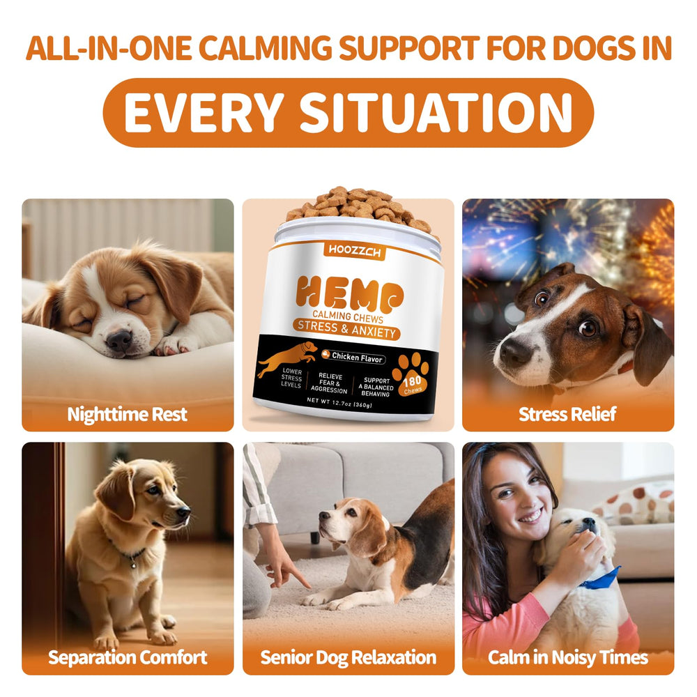 Hoozzch calming chews pack arranged for daily use.