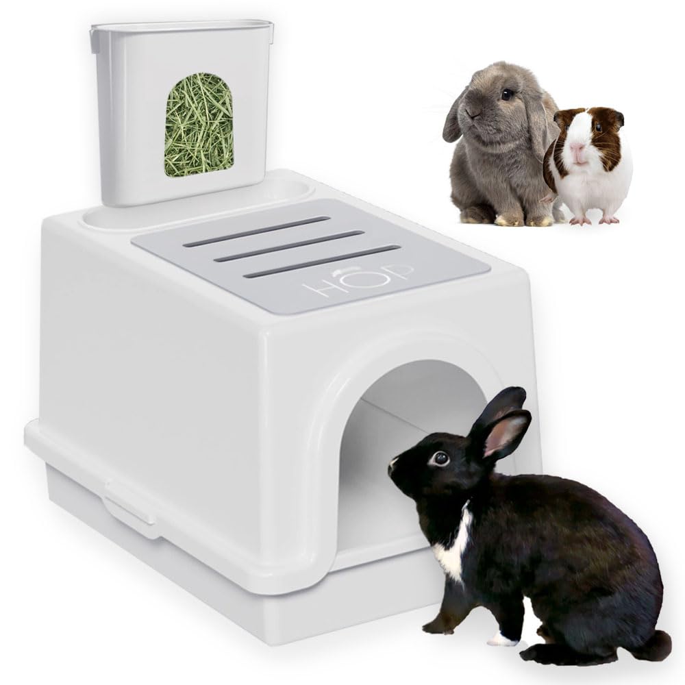 HOP Rabbit Litter Box hay-feeder helps keep hay contained for a tidier space.