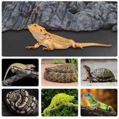 Hoplaep bearded dragon tank mat offers gentle comfort for long-term use.