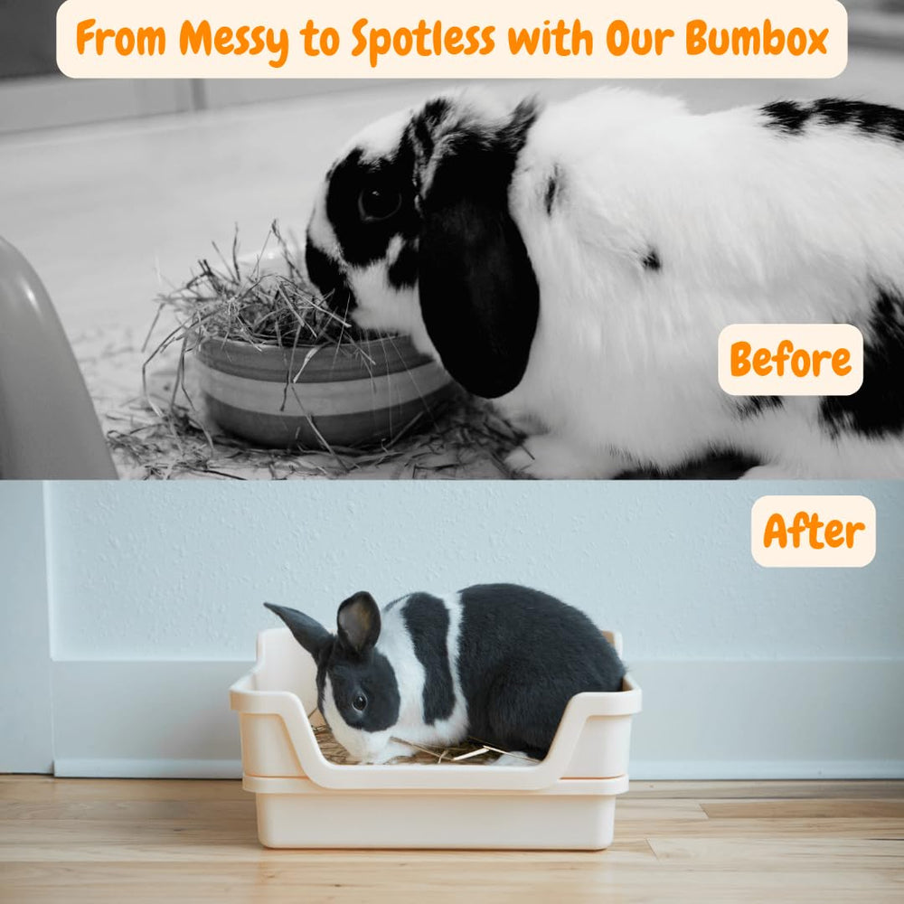 HoppScotch.bun Bumbox large rabbit litter box cream easy cleaning visible sifter.
