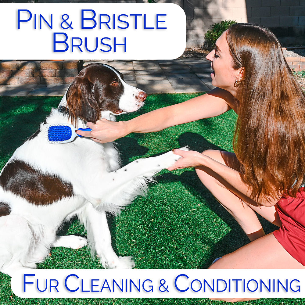 Horicon Pet 6-in-1 dematting razor comb tackles tough mats effectively.