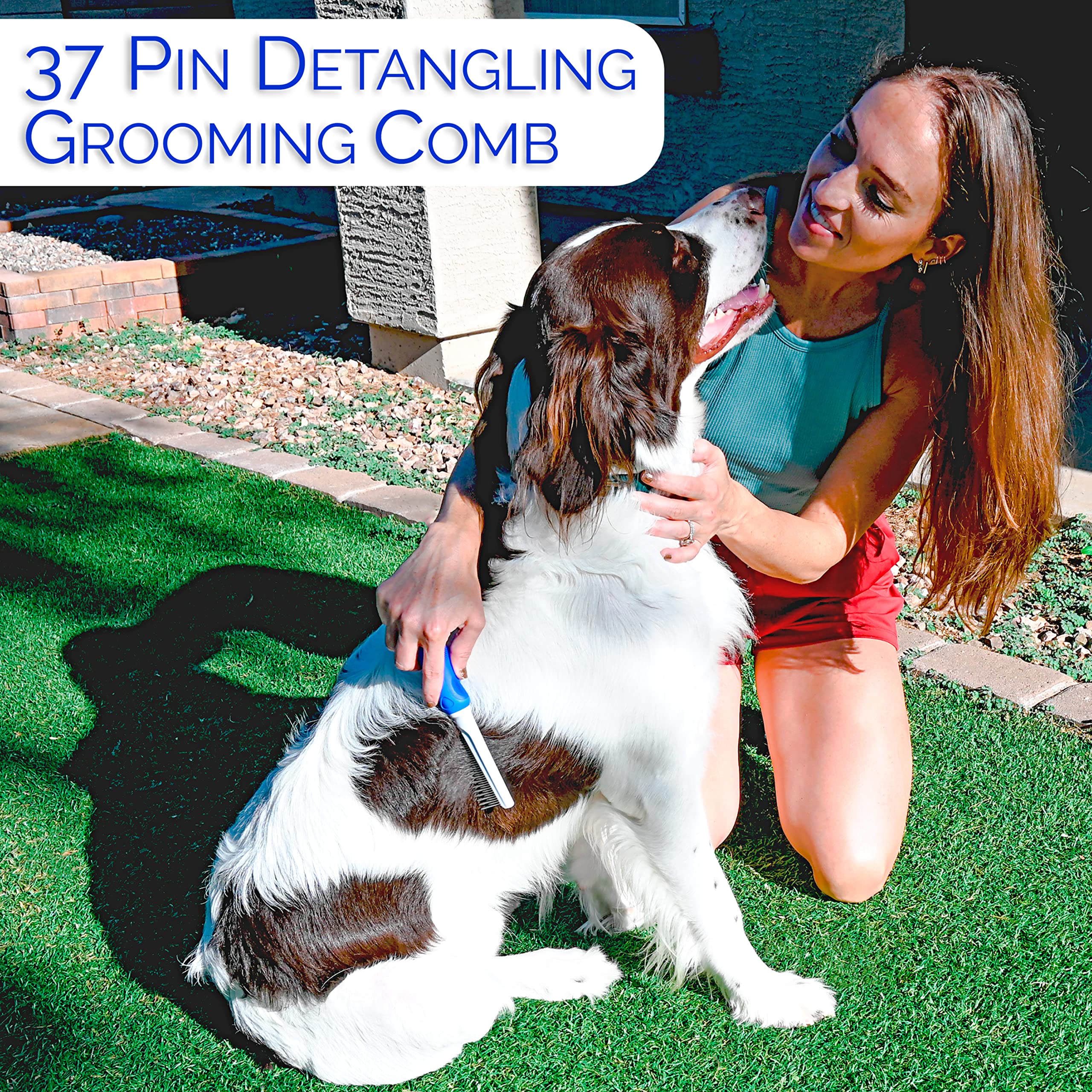 Horicon Pet 6-in-1 topcoat conditioning with balanced brushing.
