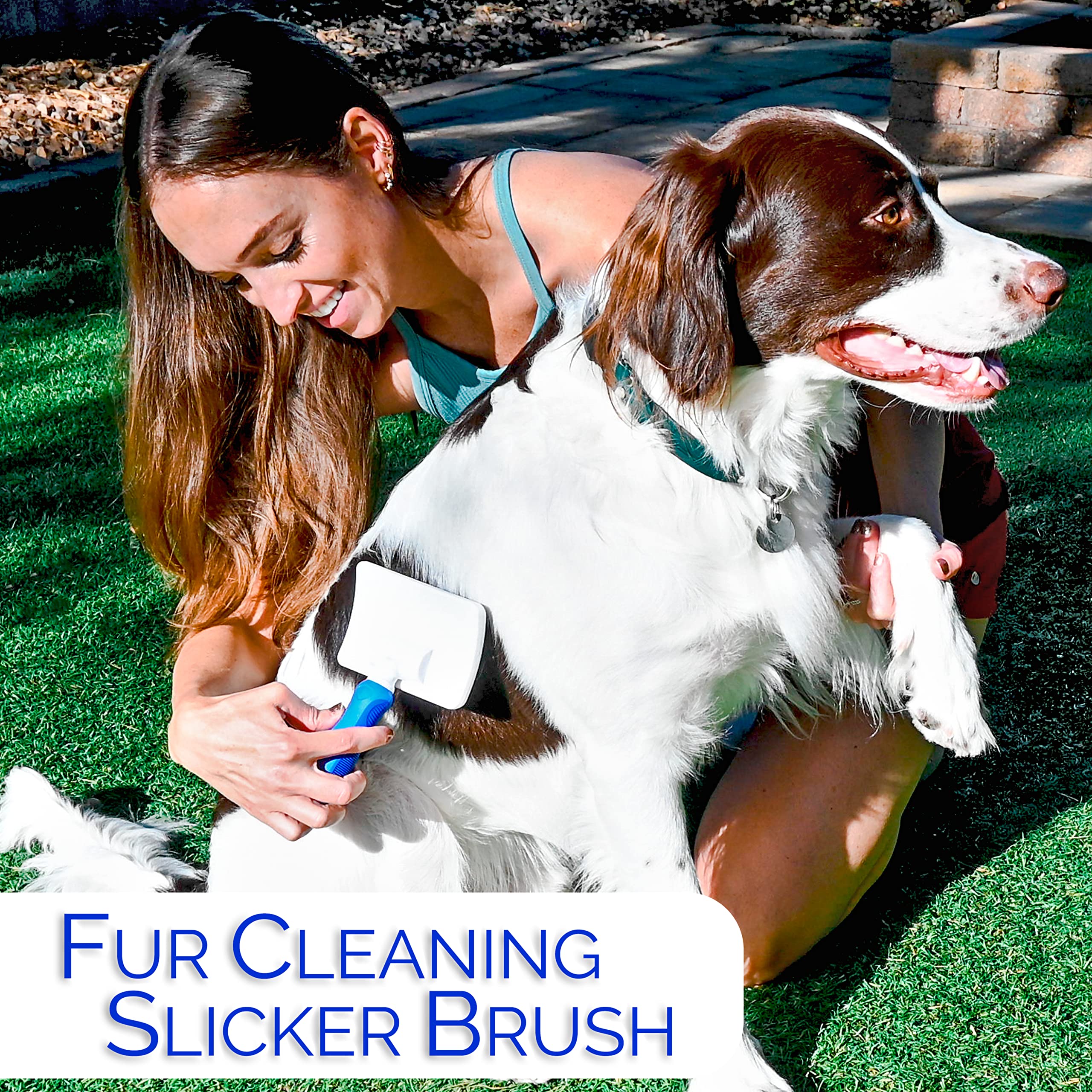Horicon Pet 6-in-1 undercoat maintenance supports double coats.