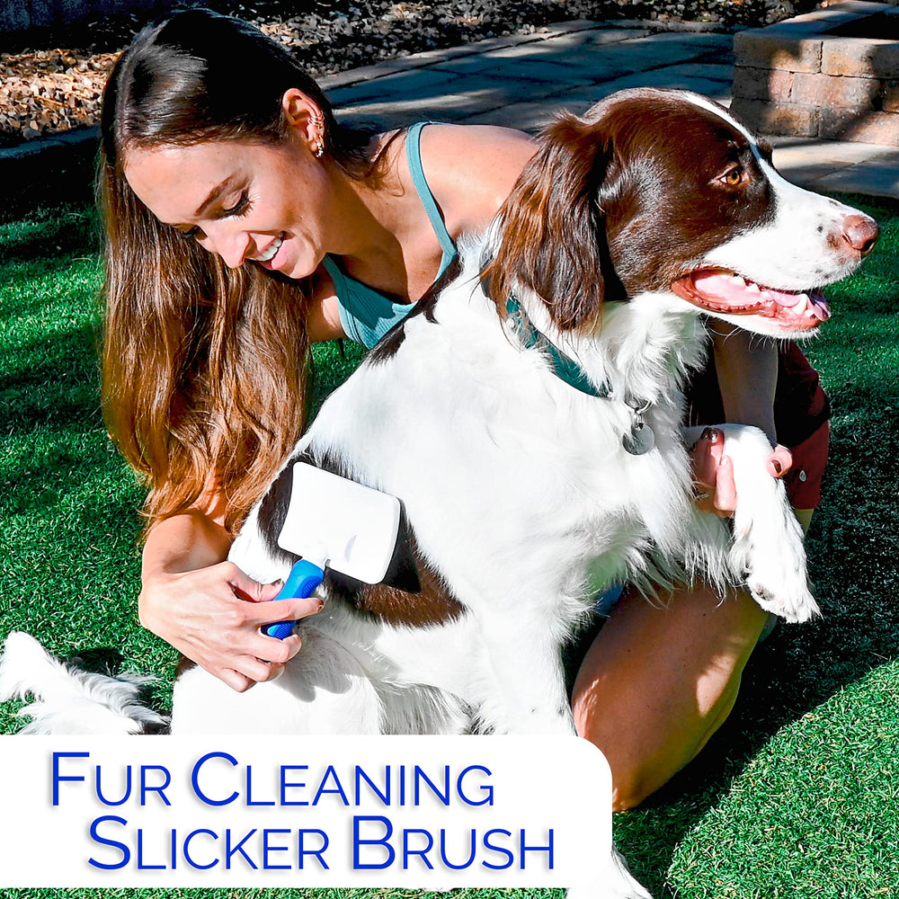 Horicon Pet 6-in-1 undercoat maintenance supports double coats.