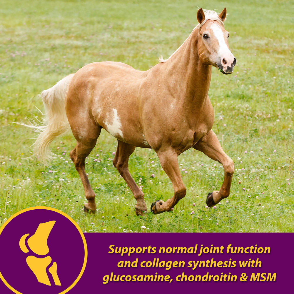 Biotin-rich Horse Health Joint Combo supports hoof growth and strength.