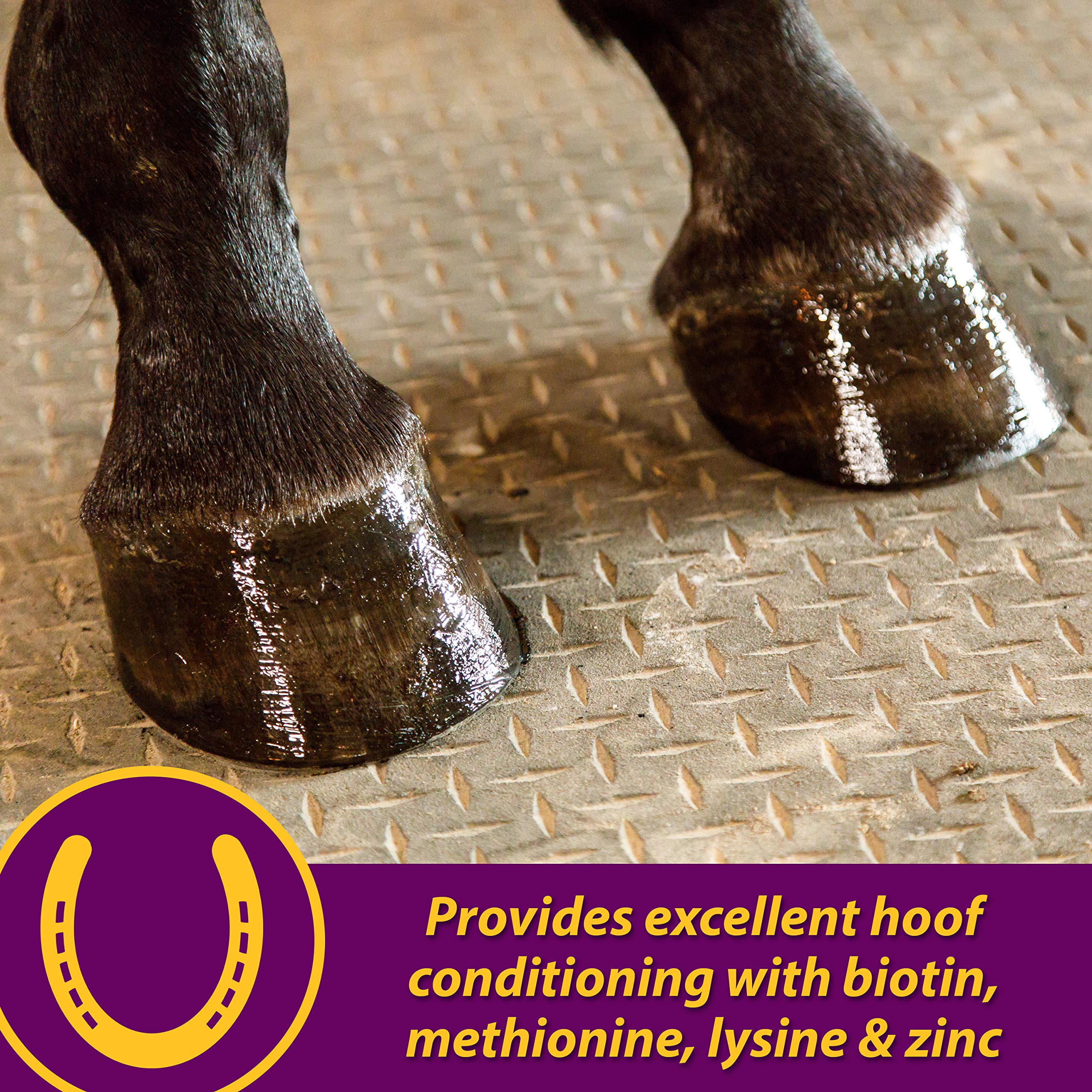 Omega fats in Horse Health Joint Combo support healthy skin and coat.