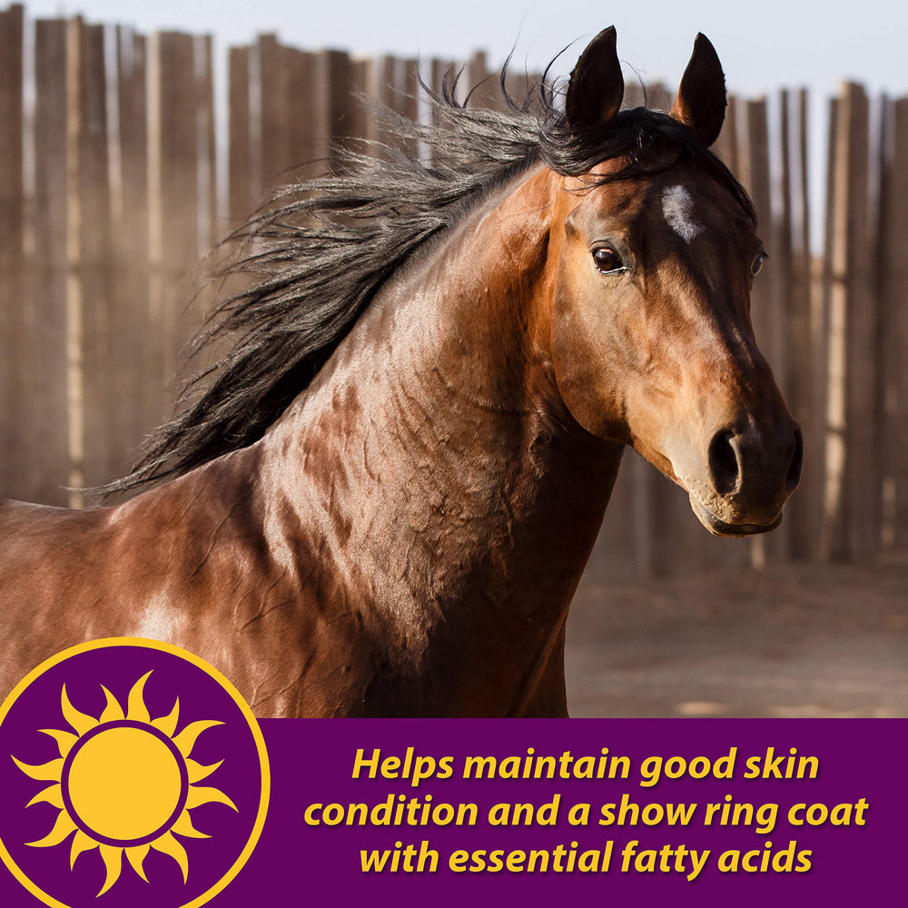 Horse Health Joint Combo joint-mobility graphic implies enhanced movement