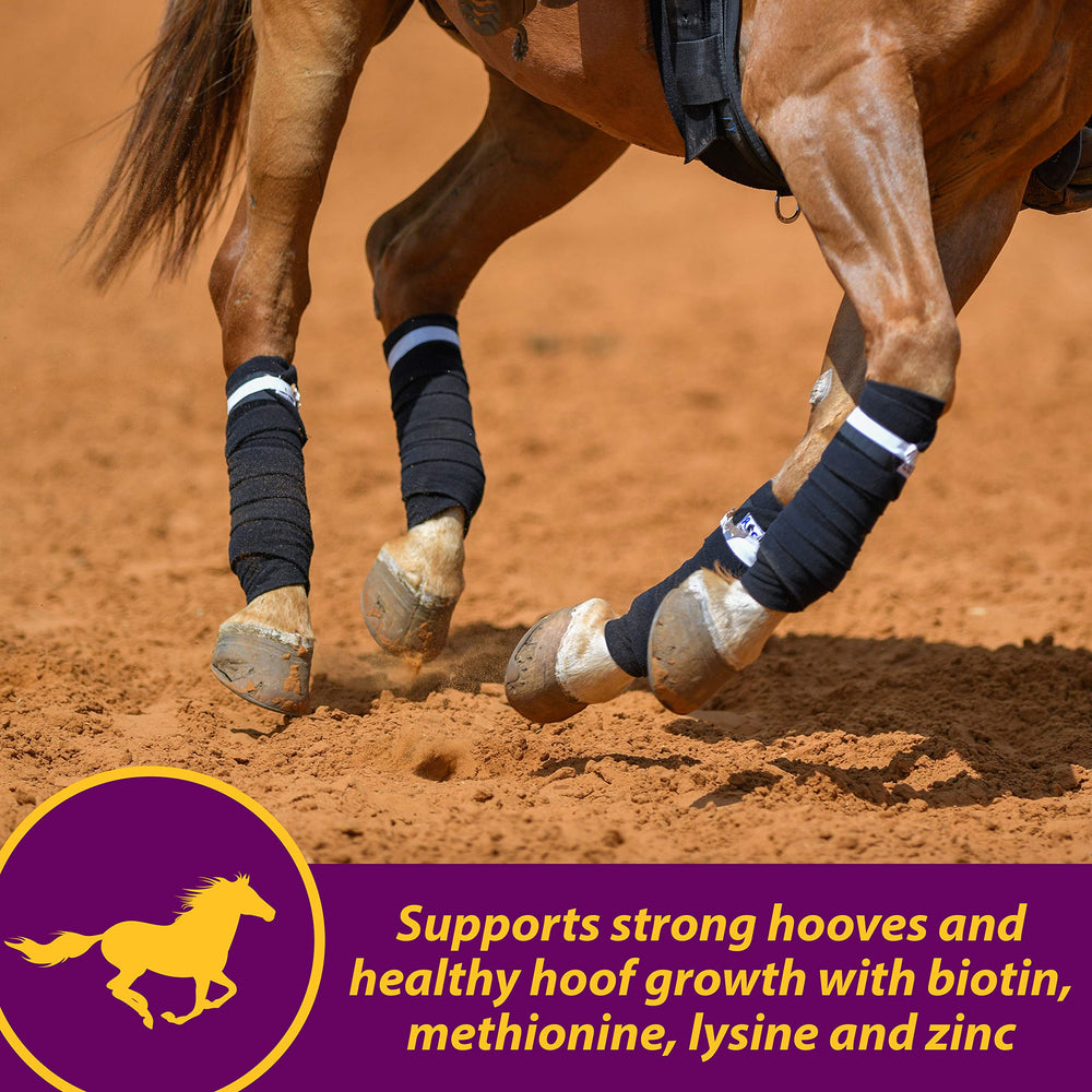 Omega-3 and -6 fatty acids in Horse Health Joint Combo for coat shine.
