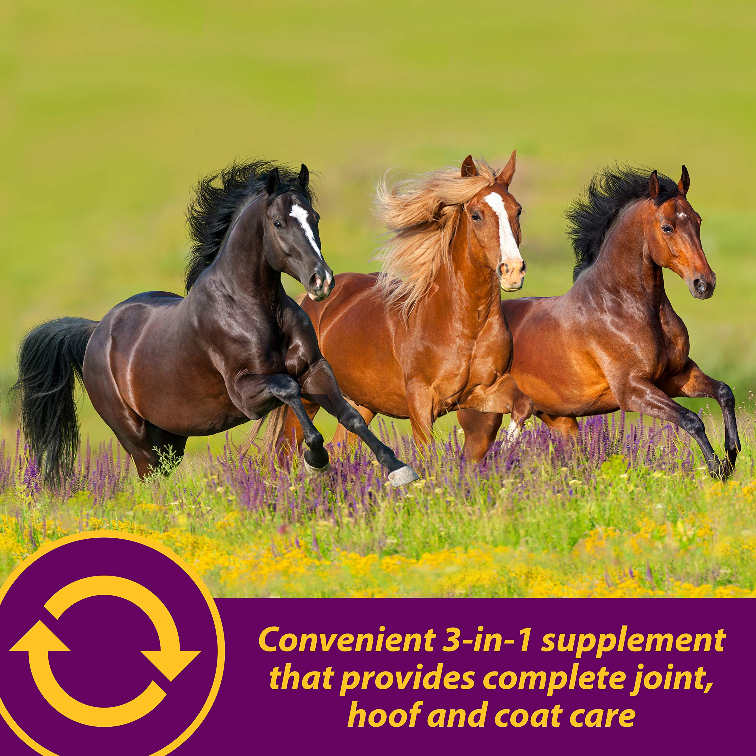 Horse Health Joint Combo scoop serving demonstrates easy daily dosing