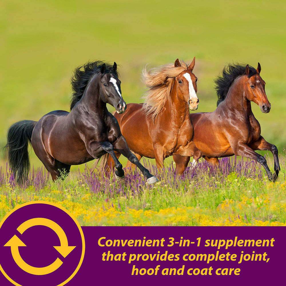Horse Health Joint Combo scoop serving demonstrates easy daily dosing