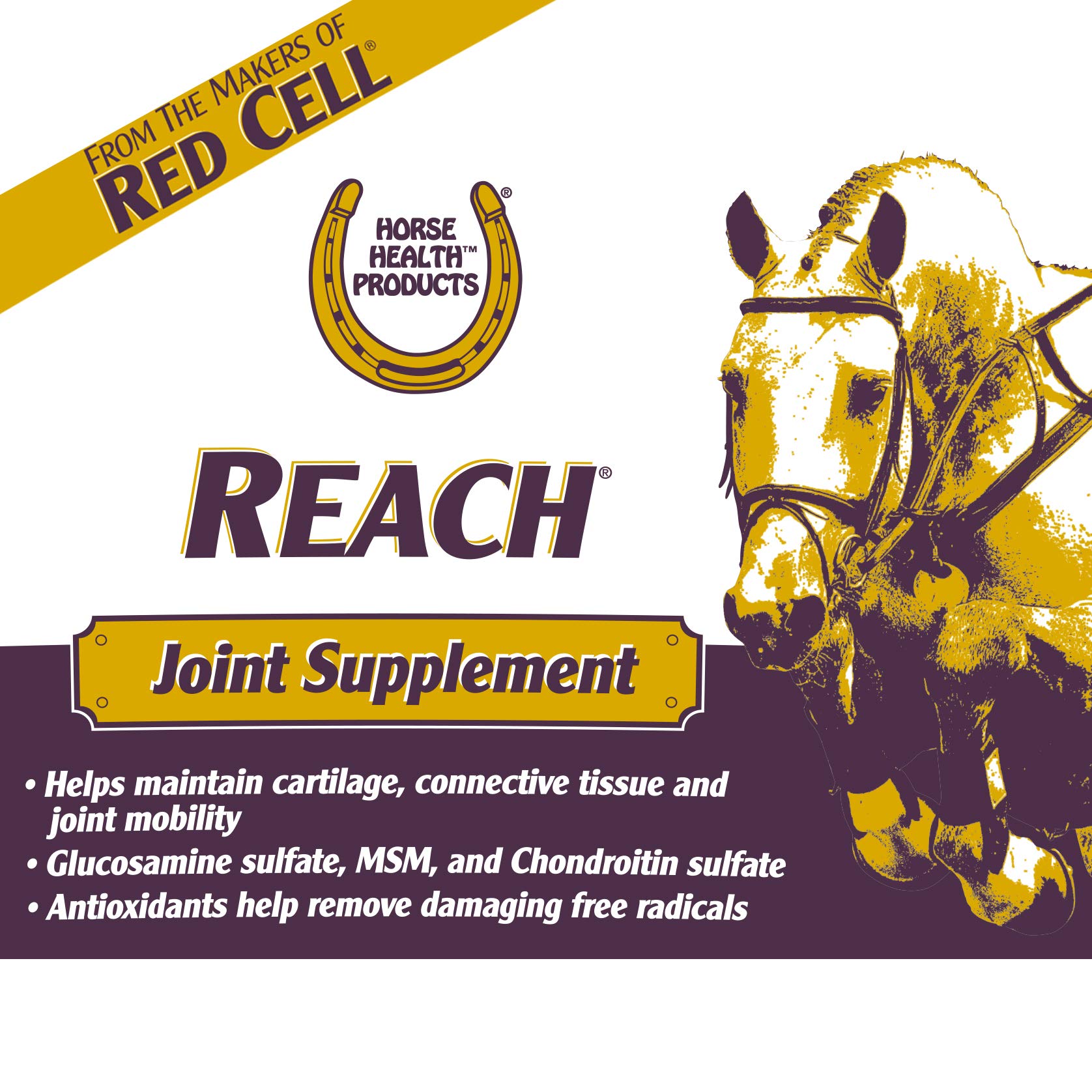 Horse Health Reach Joint Pellets close-up showing texture for easy feeding.
