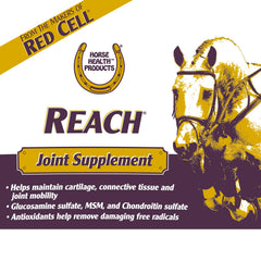 Horse Health Reach Joint Pellets close-up showing texture for easy feeding.