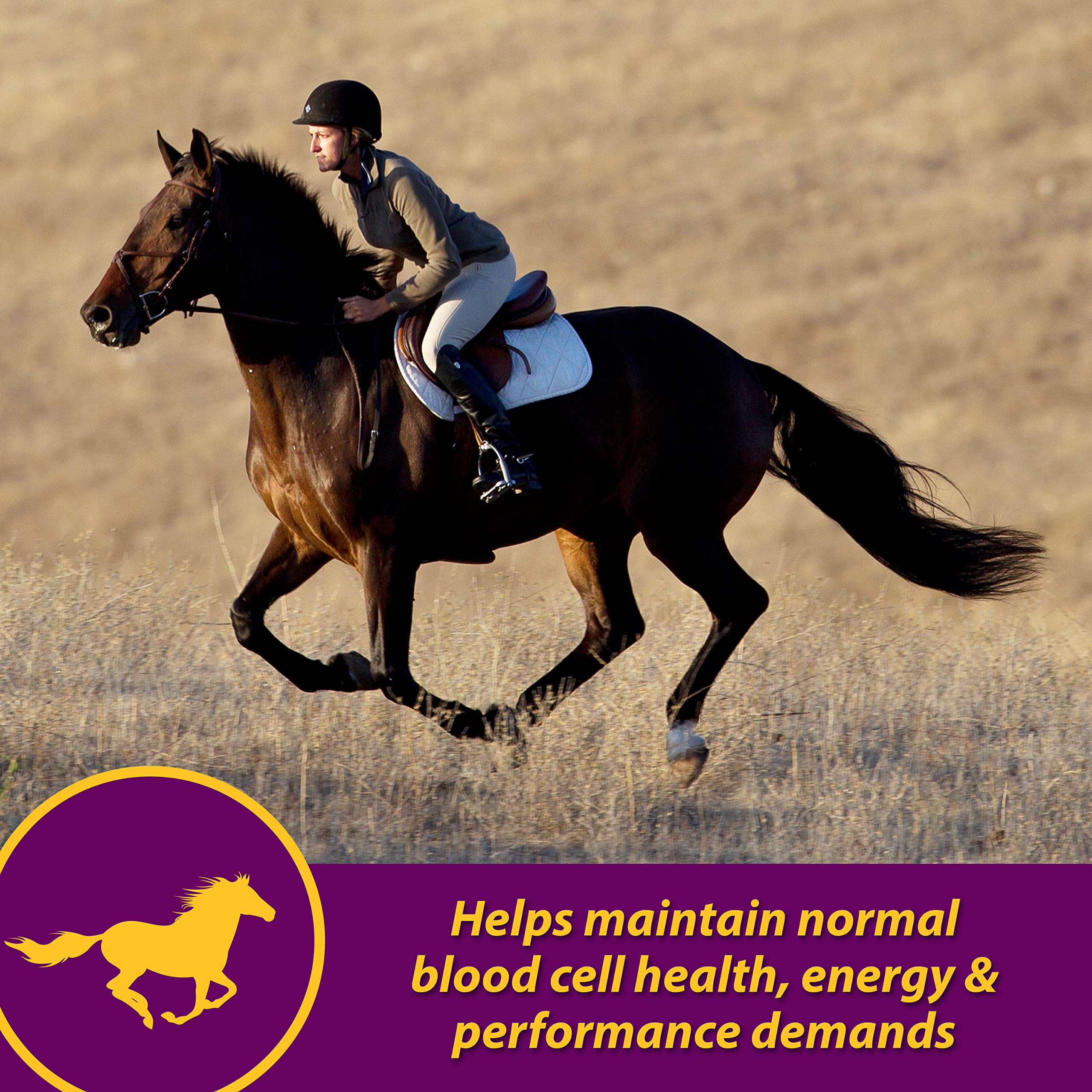Horse Health Red Cell bottle label showing iron and minerals.
