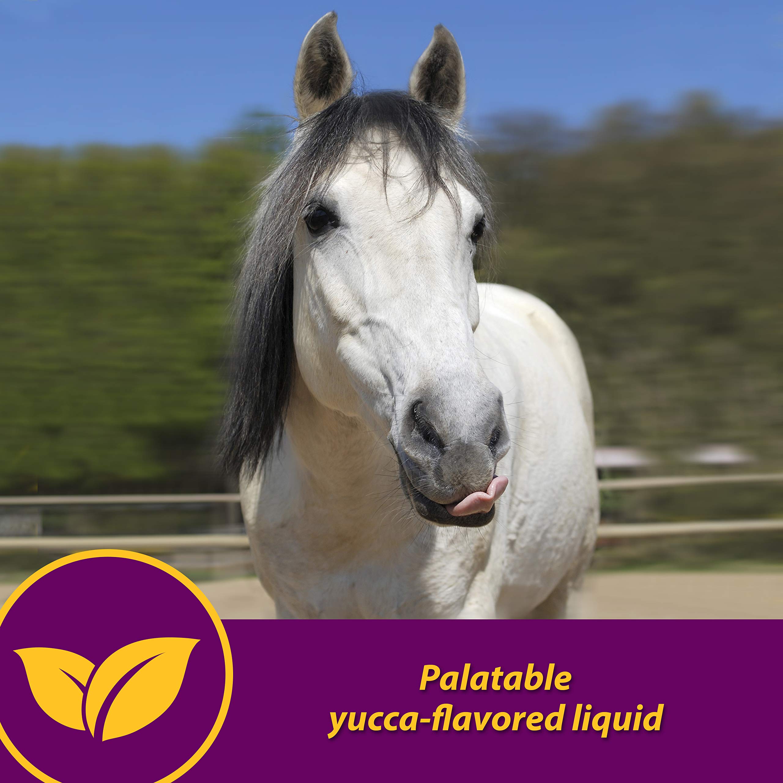 Horse Health Red Cell feed-mix usage with daily ration.