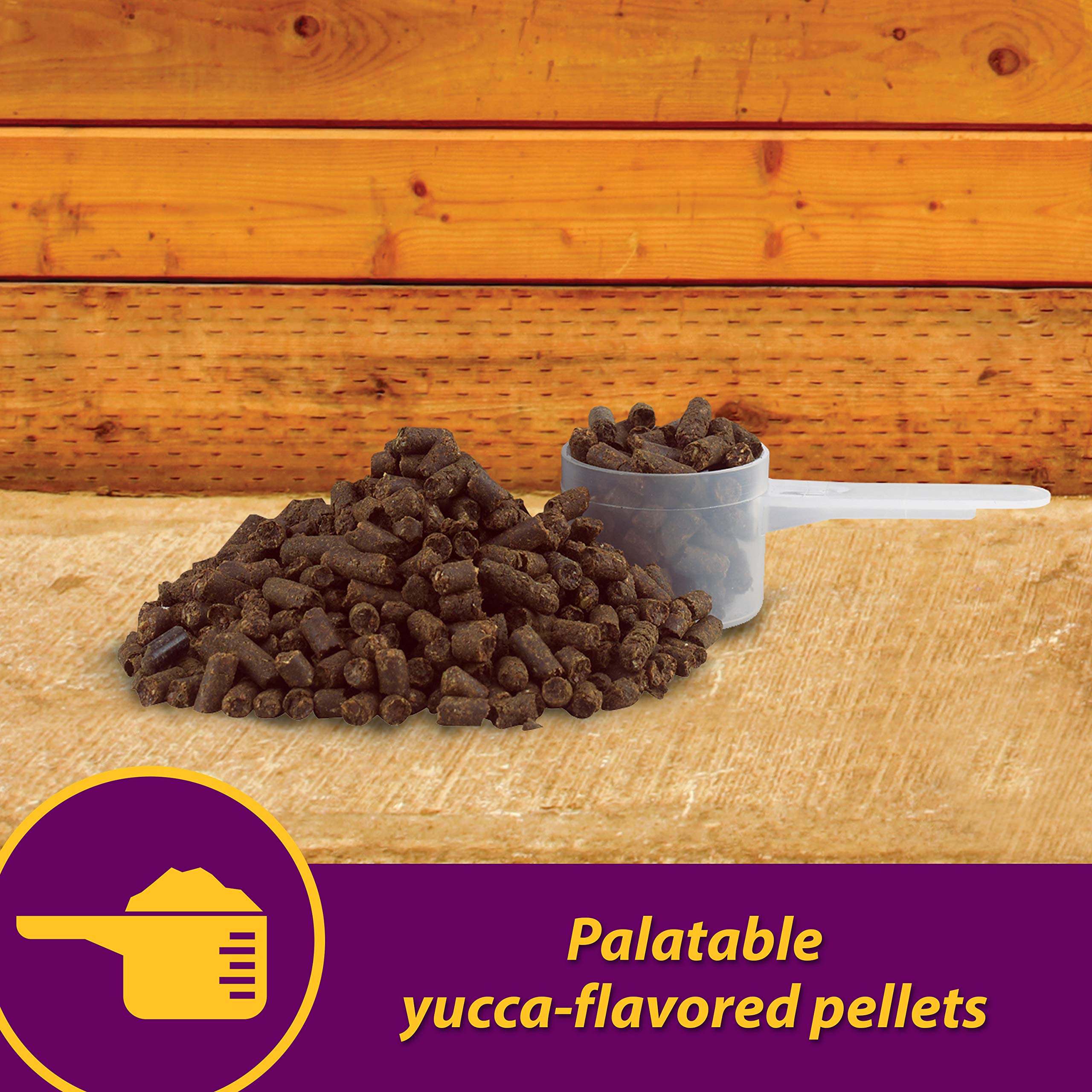 Broodmares using Red Cell Pellets as part of nutrition from Horse Health.