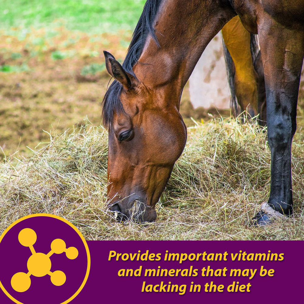 Pellets being mixed into a horse's daily feed with Red Cell Pellets.
