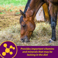 Pellets being mixed into a horse's daily feed with Red Cell Pellets.
