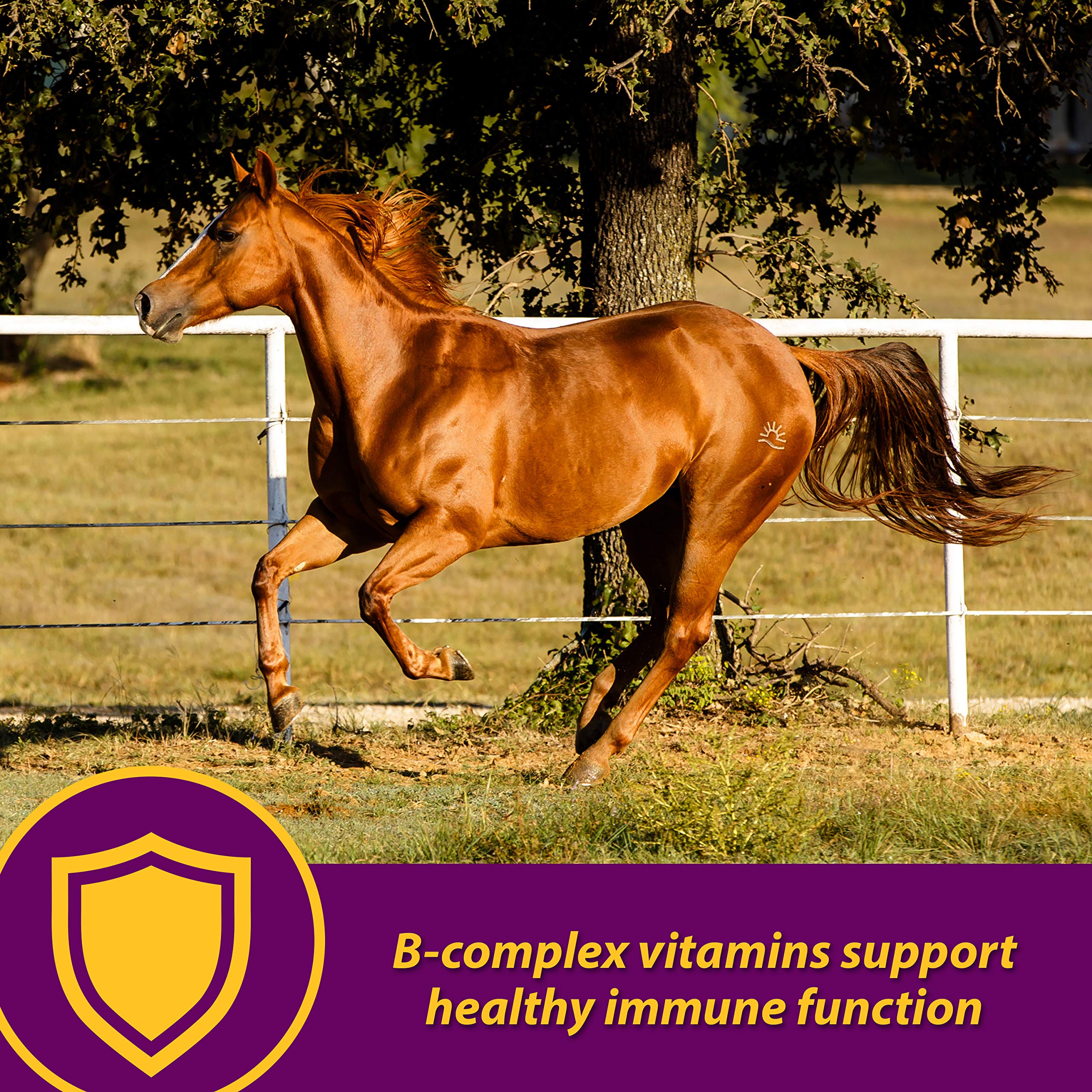 Label on Horse Health Red Cell Pellets showing yucca flavor and minerals.