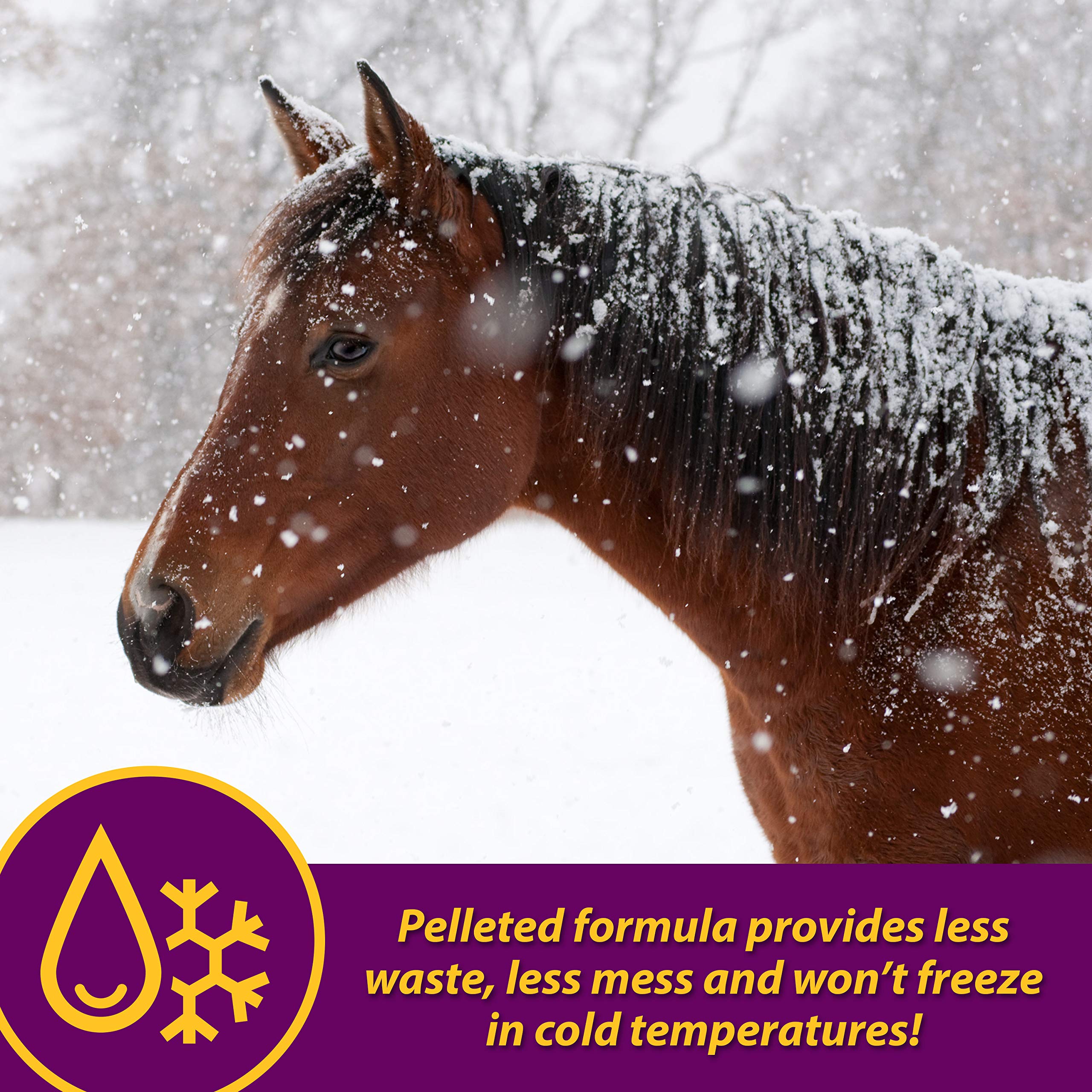 Yucca flavor pellets from Horse Health Red Cell Pellets.