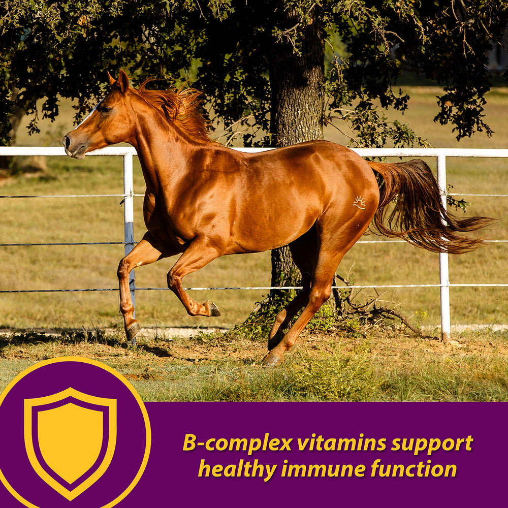 Horse Health Red Cell pour action suggests easy daily dosing.