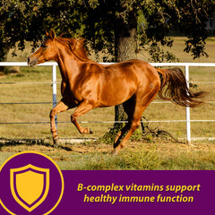 Horse Health Red Cell pour action suggests easy daily dosing.