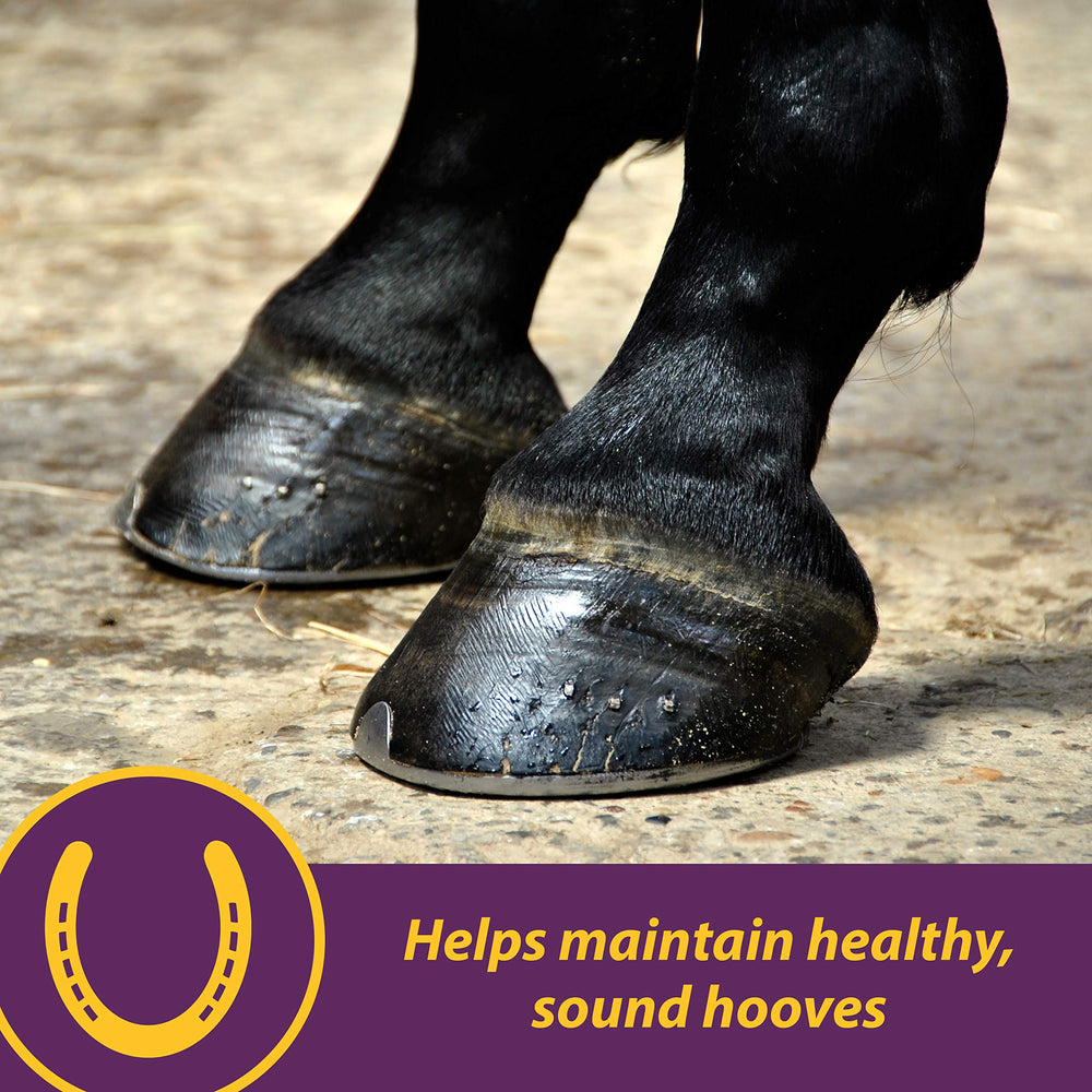 Horse Health Vita Biotin Crumbles strengthen hoof walls for resilience