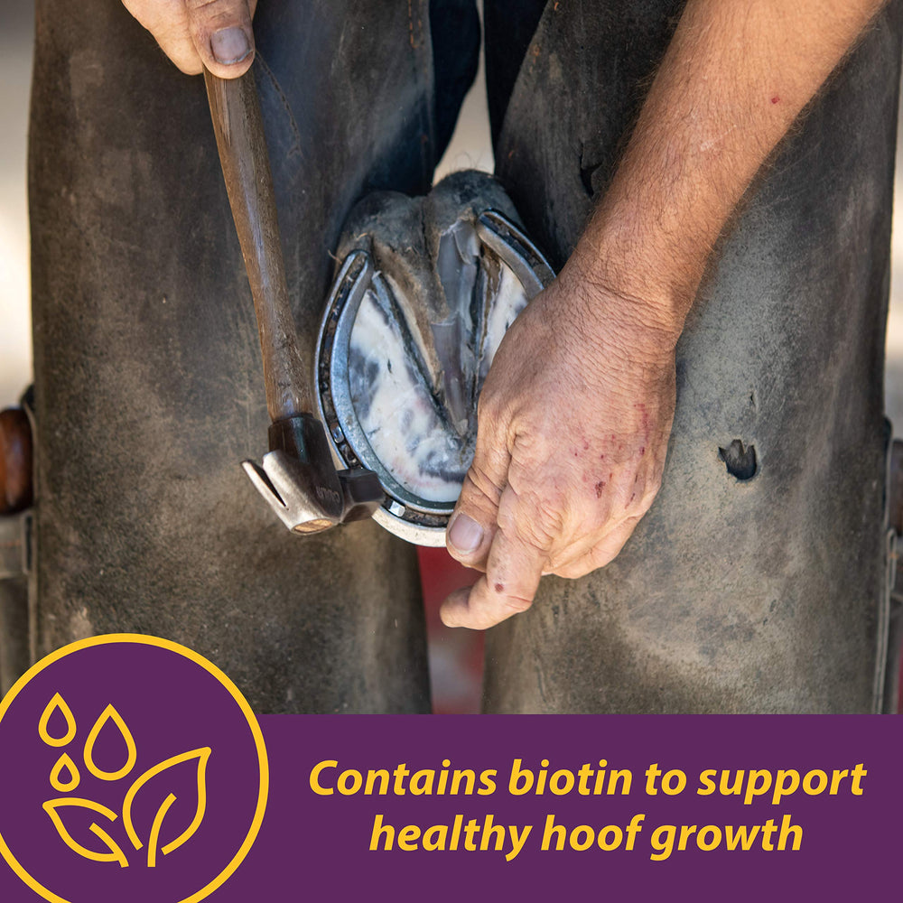 Horse Health Vita Biotin Crumbles help prevent cracks and chipping.