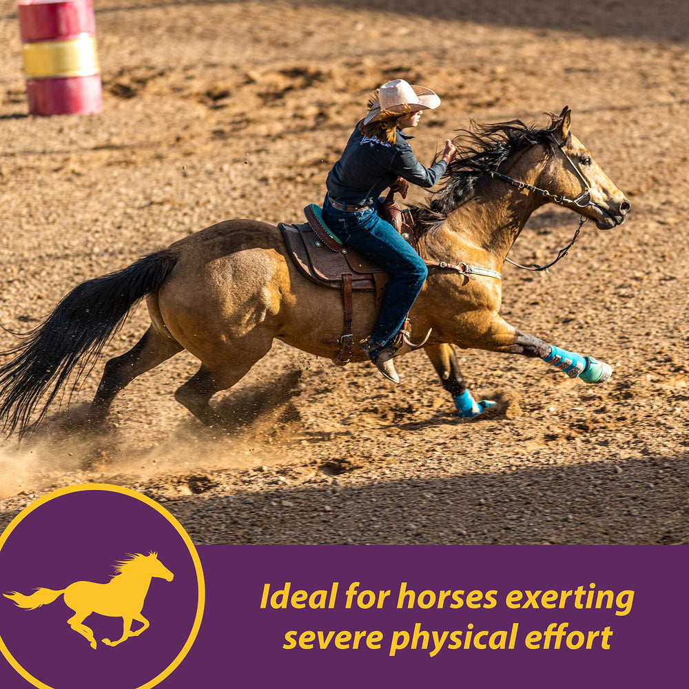 Horse Health Vita E & Selenium Crumbles bag, balanced nutrition for performance horses.