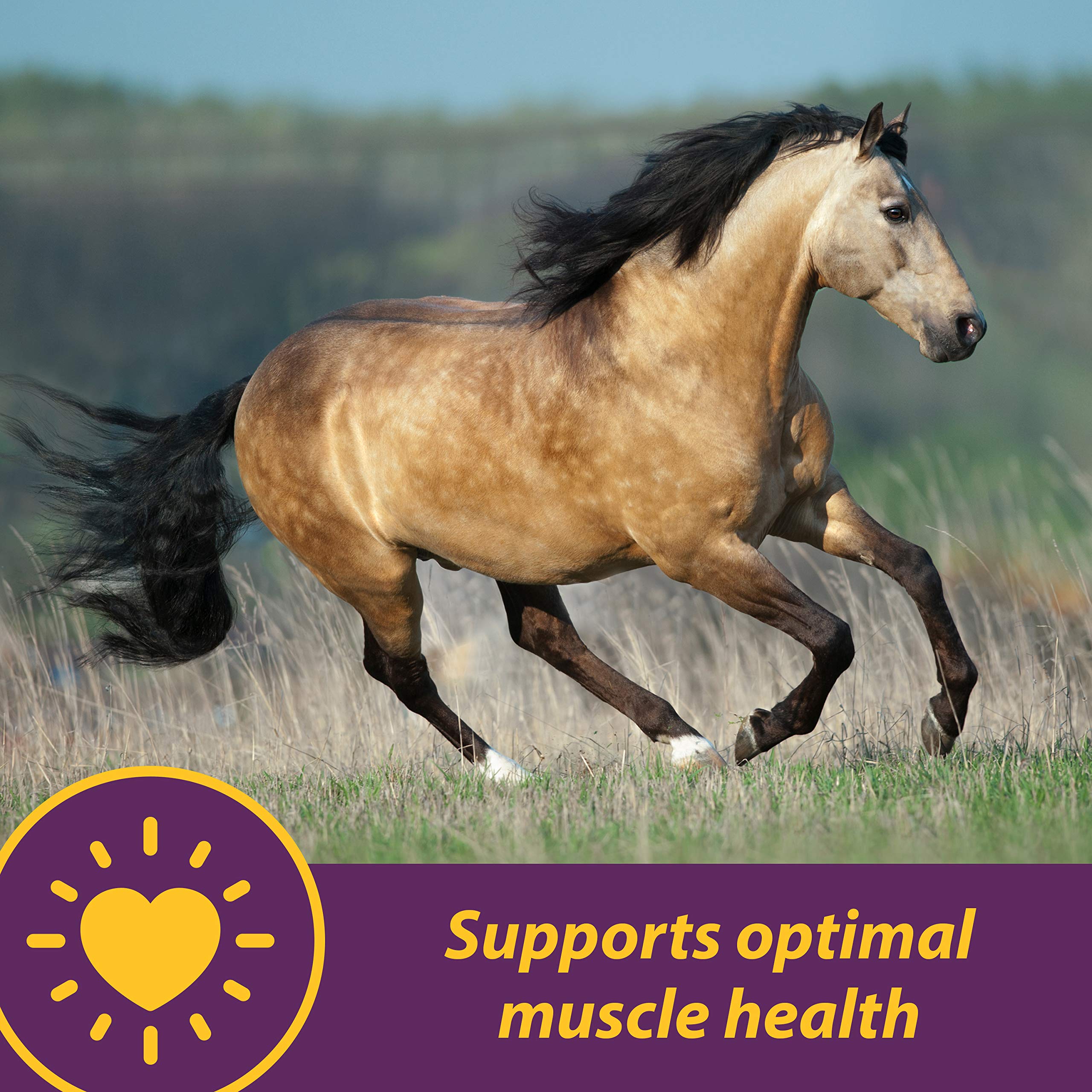 Horse Health Vita E & Selenium Crumbles feeding scoop, easy daily supplementation.