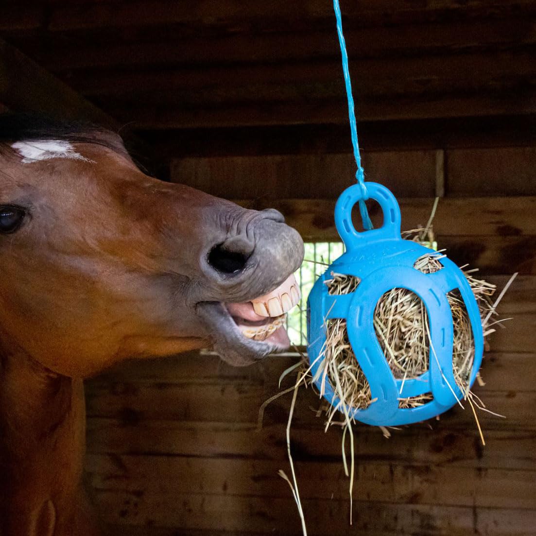 Horsemen's Pride Jolly Hay Ball filled with hay to encourage focused chewing.