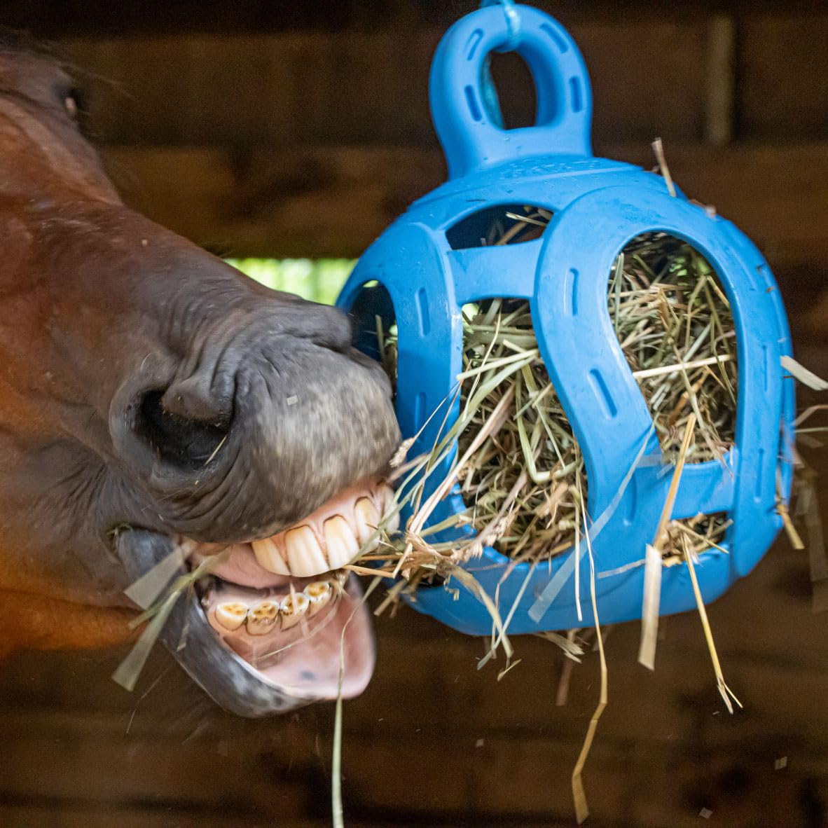 Horsemen's Pride Jolly Hay Ball displayed with treats to promote mental stimulation.
