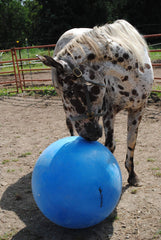 Horsemen's Pride mega ball blue packaging, ideal for stable or trailer storage