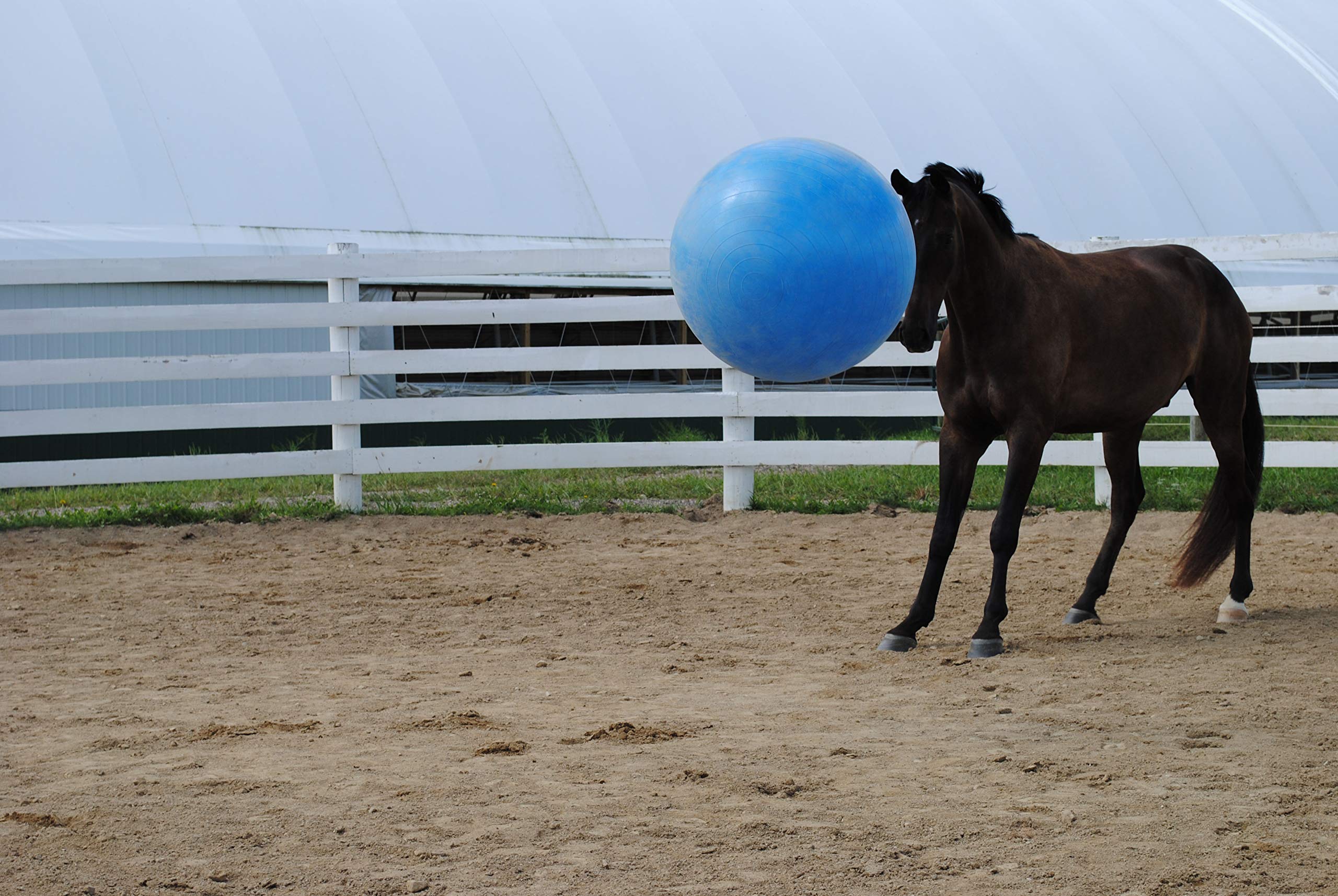 Horsemen's Pride mega ball blue with foot pump, easy inflation on site