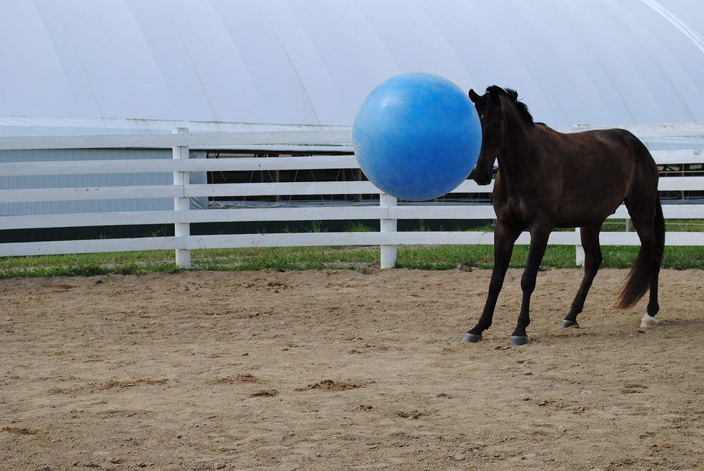 Horsemen's Pride mega ball blue with foot pump, easy inflation on site