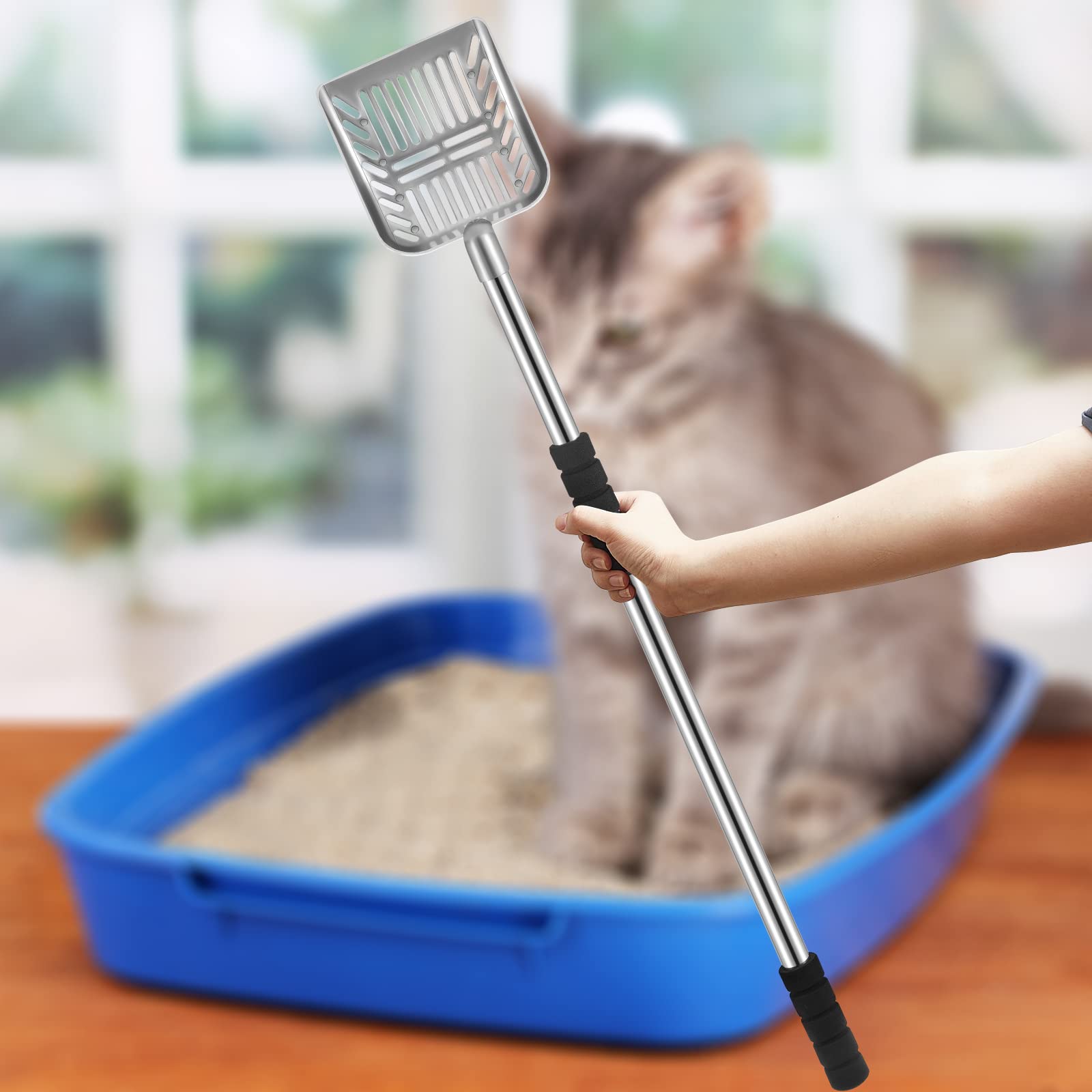 Hortsun tidy area for litter box, preventing spills and making setup simple