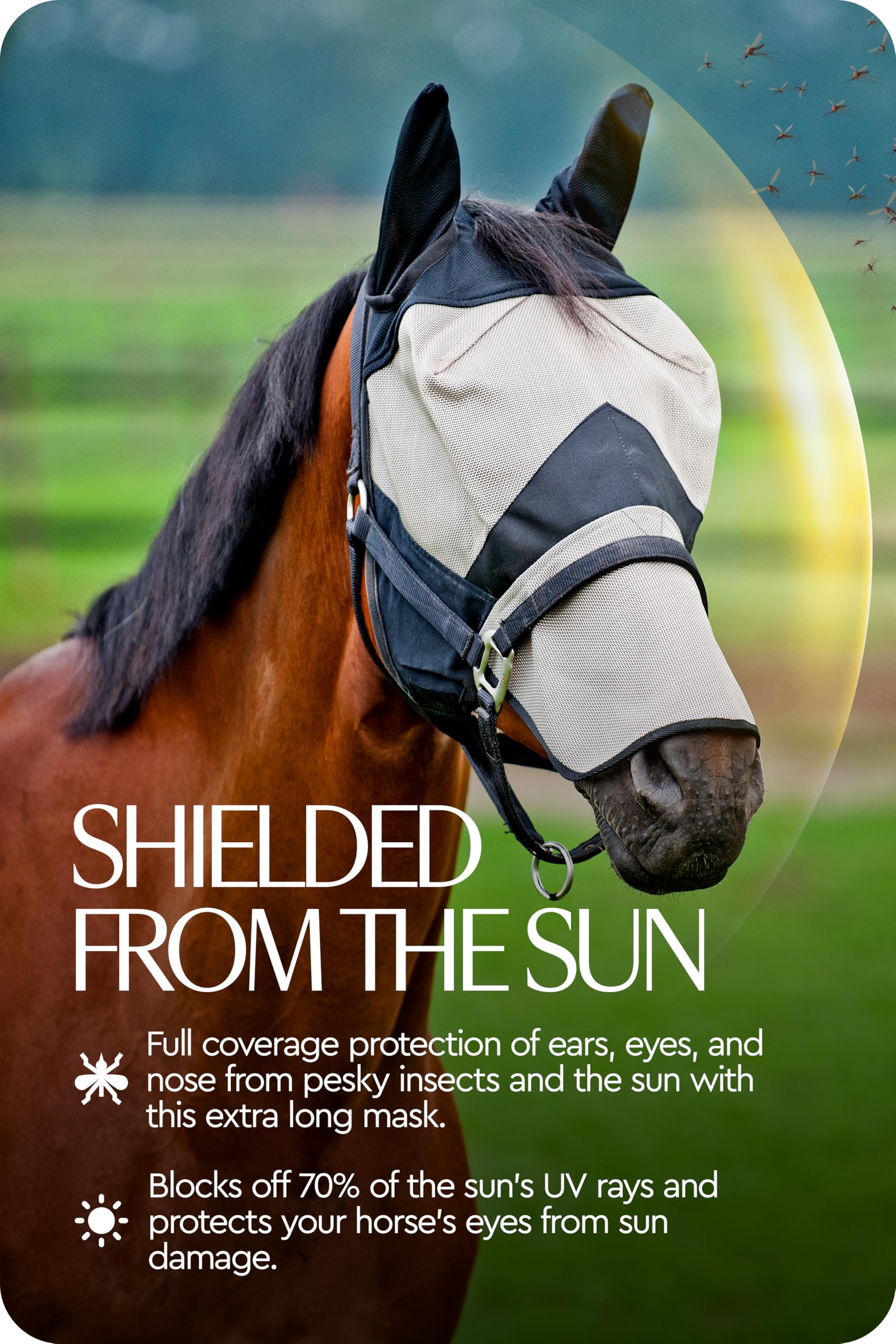 HORZE Forelock-stays-free design prevents forelock damage during rides.