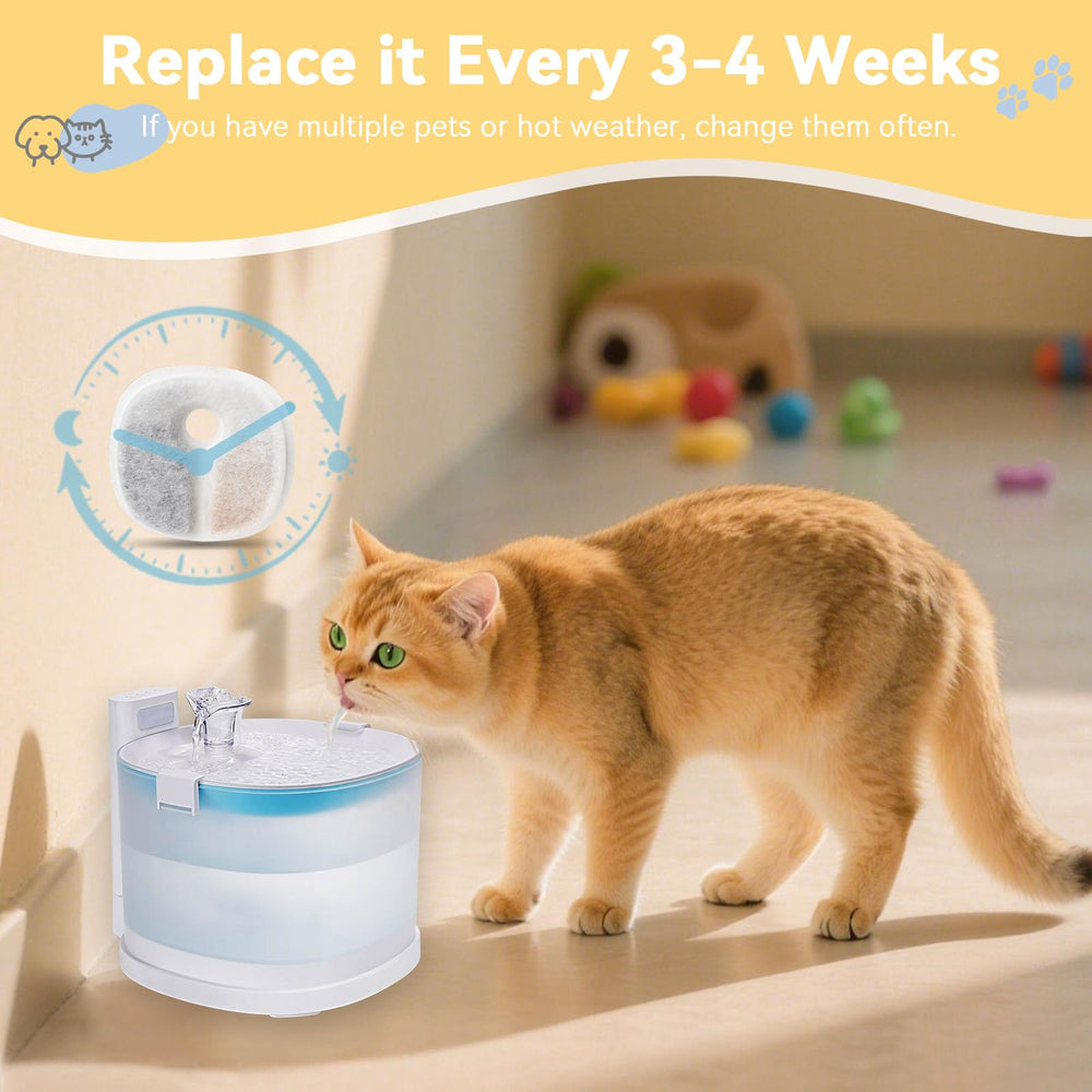 Hoscabss replacement filter routine supports consistent water quality.