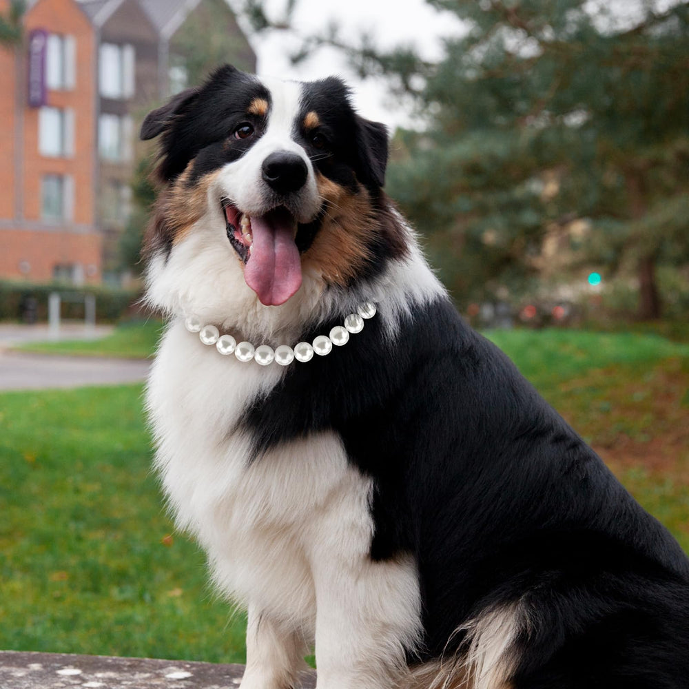 Hosiwei Chunky Pearl Dog Necklace features adjustable extension for perfect fit