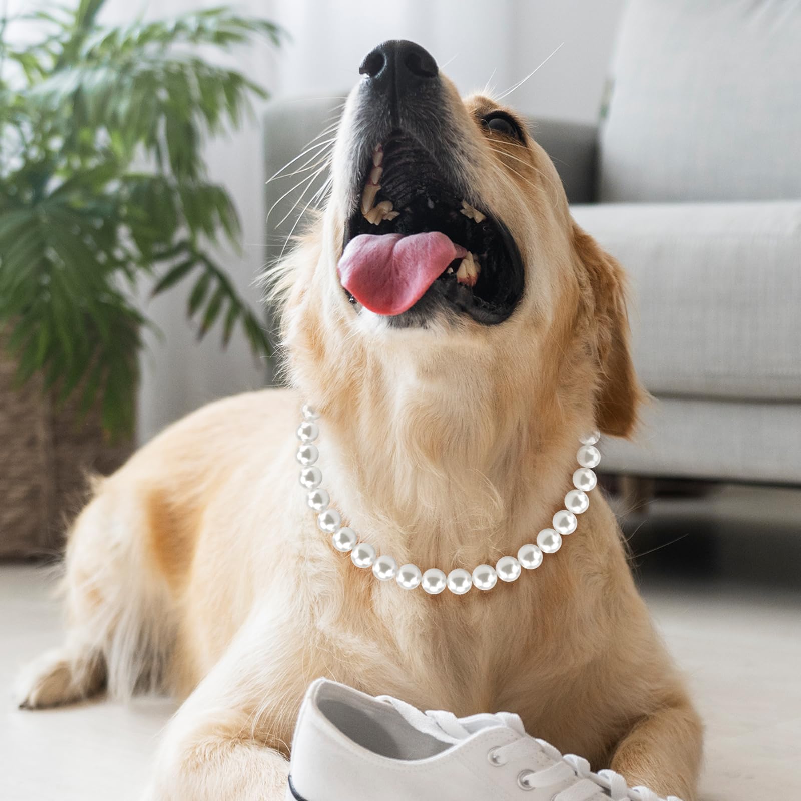 Hosiwei Chunky Pearl Dog Necklace shows stainless steel wire durability