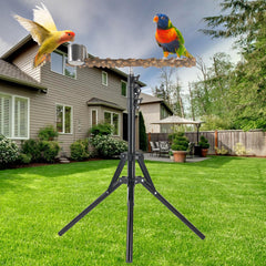 HOSUKKO foldable tripod stand for easy storage and transport.