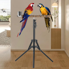 HOSUKKO pepper wood perch with textured grip for secure perching and chewing.