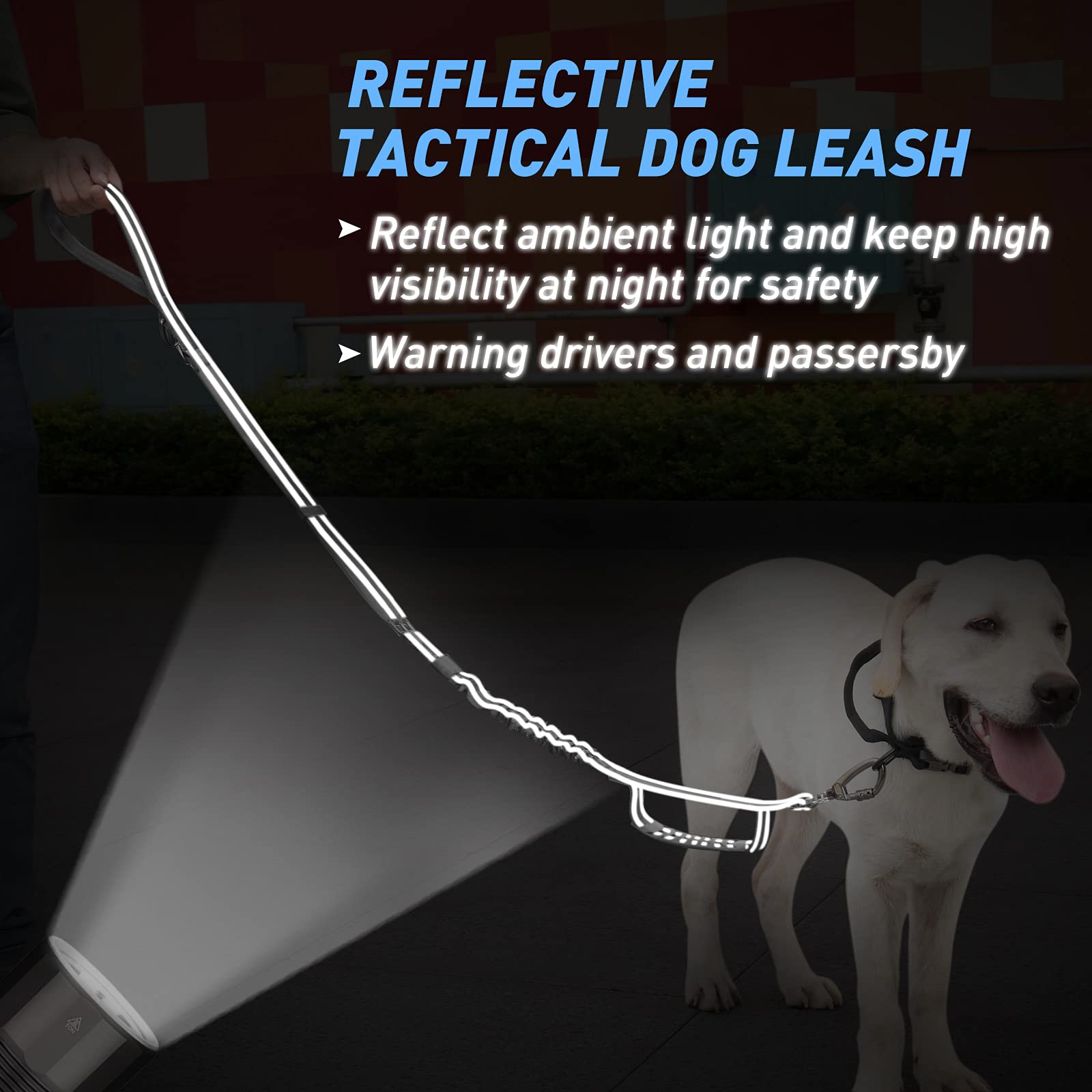 Hotsky 360-degree-rotating-clasp dog leash prevents tangling while your dog explores.