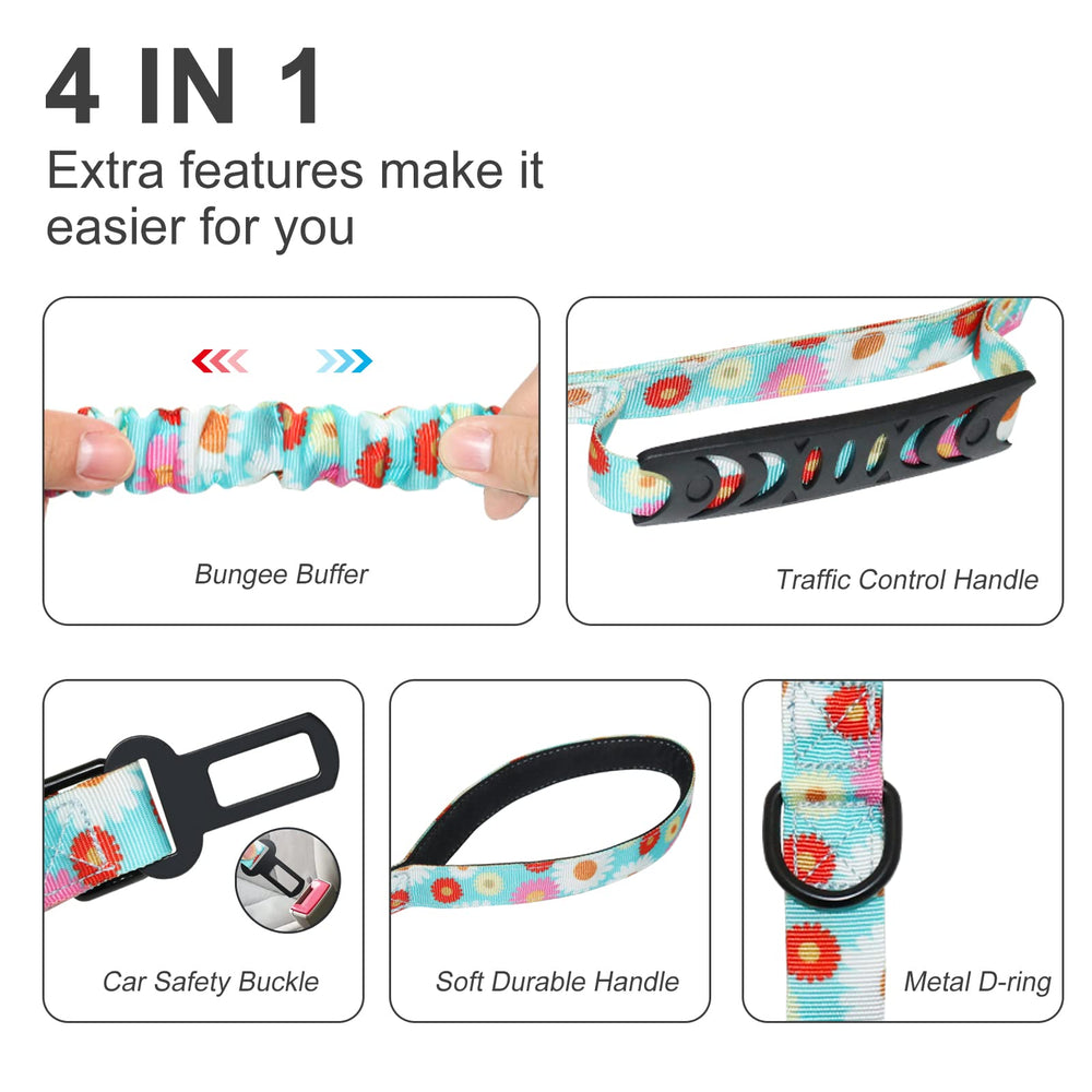 Hotsky elastic bungee leash cushions pulls for smoother control.