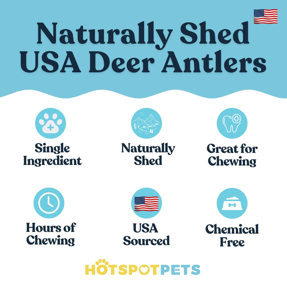 Hotspot Pets antler chew close-up with dense marrow for flavor