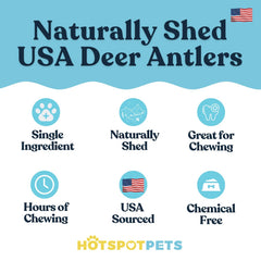 Hotspot Pets antler chew close-up with dense marrow for flavor