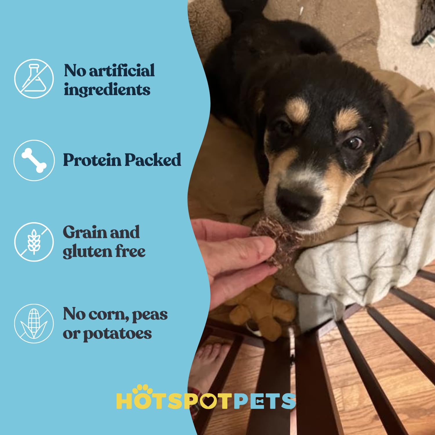 Hotspot Pets single ingredient beef lung treats offer a rawhide alternative.