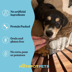 Hotspot Pets single ingredient beef lung treats offer a rawhide alternative.