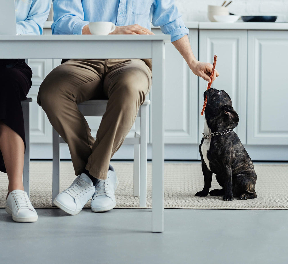 Hotspot Pets bulk twelve-count packaging—great value for regular rewards.
